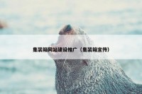 集装箱网站建设推广（集装箱宣传）