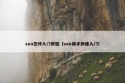 seo怎样入门教程（seo新手快速入门）