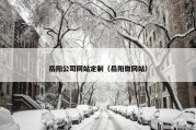 岳阳公司网站定制（岳阳做网站）