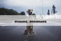 源码建站教程，源码搭建网站教程