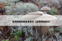 宜宾网站定制企业多少（宜宾网站设计）