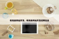 枞阳县网站开发，枞阳县网站开发招聘信息