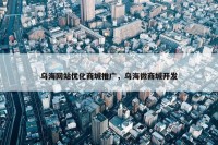 乌海网站优化商城推广，乌海微商城开发