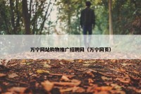 万宁网站购物推广招聘网（万宁网页）