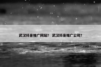 武汉抖音推广网站？ 武汉抖音推广公司？