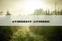 太平洋网站建设大学（太平洋网络集团）