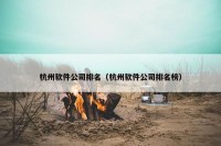 杭州软件公司排名（杭州软件公司排名榜）