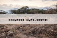 沛县网站优化费用，网站优化公司哪家效果好