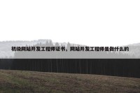 初级网站开发工程师证书，网站开发工程师是做什么的