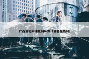 广西浦北网浦北网环保（浦北在线网）