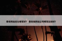 泰安网站优化哪家好？ 泰安做网站公司哪家比较好？