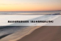 商丘企业网站建设团队（商丘有做网站的公司吗）