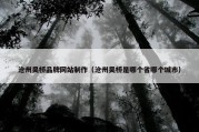 沧州吴桥品牌网站制作（沧州吴桥是哪个省哪个城市）