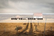 郑州推广抖音seo，郑州抖音广告投放