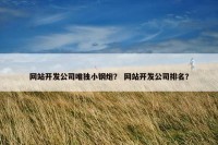 网站开发公司唯独小钢炮？ 网站开发公司排名？