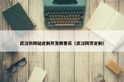 武汉市网站定制开发哪里买（武汉网页定制）