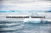 青岛专业网站定制团队有哪些，青岛网站定制公司
