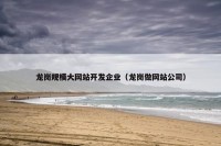 龙岗规模大网站开发企业（龙岗做网站公司）