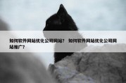 如何软件网站优化公司网站？ 如何软件网站优化公司网站推广？