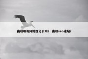 曲靖哪有网站优化公司？ 曲靖seo建站？