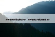 苏州电商网站定制公司？ 苏州电商公司比较有名的？