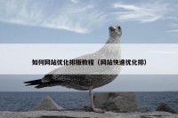 如何网站优化排版教程（网站快速优化排）