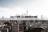 seo一一教学（seo零基础教学视频）