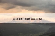 seo小白君（小白网 sean cody）