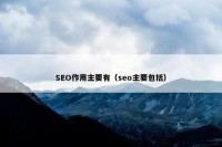 SEO作用主要有（seo主要包括）