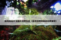 滁州网站开发图片招聘信息（滁州招聘网最新招聘兼职）