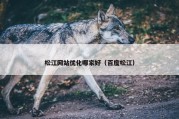 松江网站优化哪家好（百度松江）