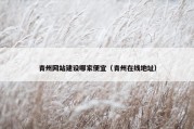 青州网站建设哪家便宜（青州在线地址）