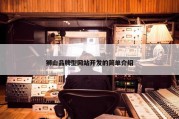 狮山品牌型网站开发的简单介绍