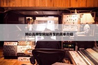 狮山品牌型网站开发的简单介绍