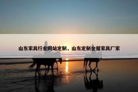 山东家具行业网站定制，山东定制全屋家具厂家