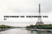 武清区市场网站推广分类？ 武清区市场网站推广分类公示？