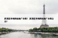 武清区市场网站推广分类？ 武清区市场网站推广分类公示？