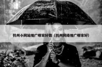 杭州小网站推广哪家好做（杭州网络推广哪家好）