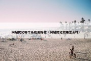 网站优化哪个系统更好做（网站优化效果怎么样）
