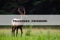 怀集企业网站建设（怀集领域网招聘）