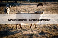 新安县地区网站定制？ 新安县地区网站定制店？