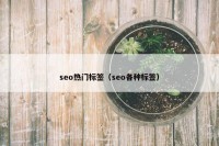 seo热门标签（seo各种标签）