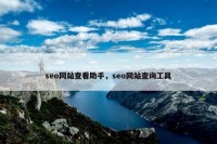 seo网站查看助手，seo网站查询工具