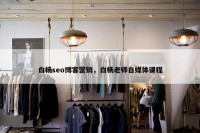 白杨seo博客营销，白杨老师自媒体课程