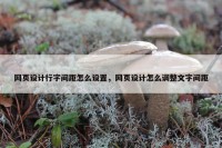 网页设计行字间距怎么设置，网页设计怎么调整文字间距