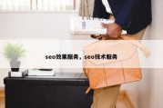 seo效果服务，seo技术服务