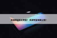 天津网站优化梵锐？ 天津梵蓝有限公司？