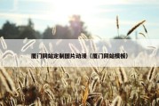 厦门网站定制图片动漫（厦门网站模板）