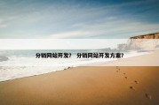 分销网站开发？ 分销网站开发方案？
