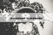 武汉自助建站源码（武汉免费建站模板）